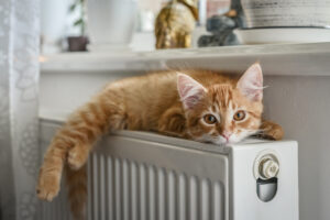 Radiator Power Flushing